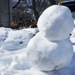 子どもたちと一生懸命作った雪だるまをあっけなく壊されてしまったので…